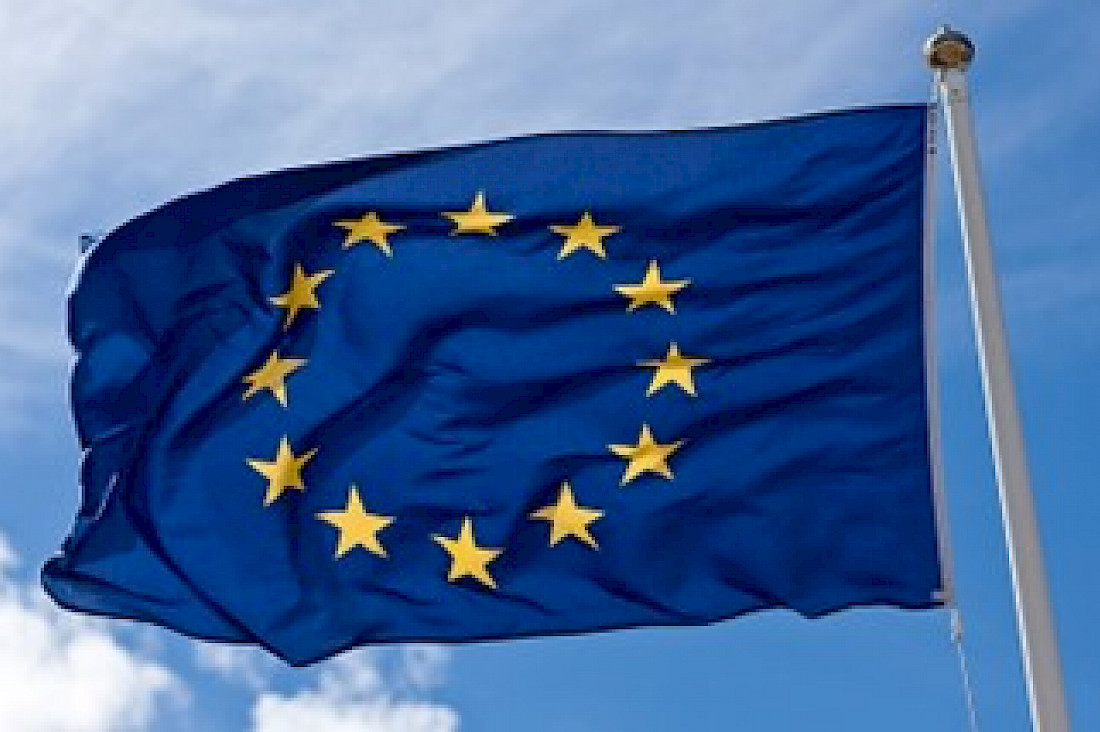 European Union Flag. <a href="http://365.dahlstroms.com/" rel="nofollow">365</a>