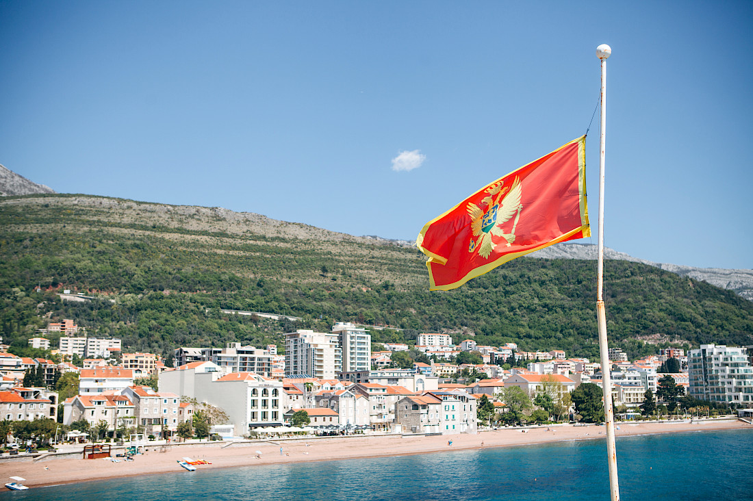 Photo: Shutterstock/franz12